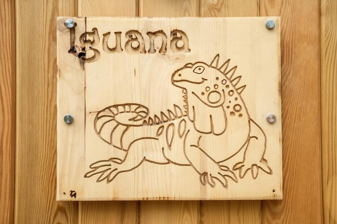 Iguana - Das Tiny Haus Am Reptilienzoo Reptilium Landau in der Pfalz Exterior photo